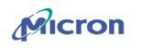 micron2